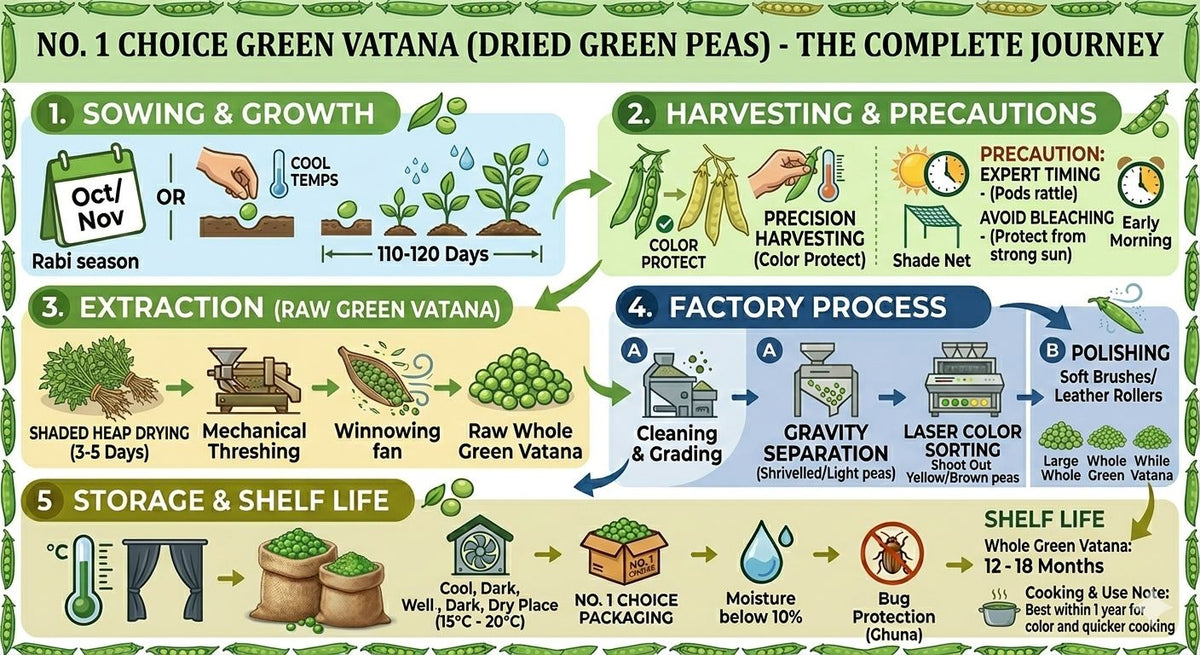 NO.1 CHOICE Premium Vatana Green (Green Matar) | Natural, Unpolished & Protein-Rich Pulses | Healthy Fiber Source for Indian Recipes, Soups & Chaats