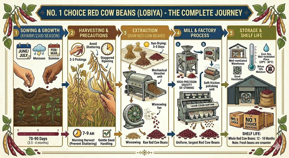 NO.1 CHOICE Red Cowpeas (Red Lobia) | 100% Natural Pulses | High Protein, Fiber-Rich, Diabetic-Friendly Superfood | Ideal for Curries, Chana Masala & Salads