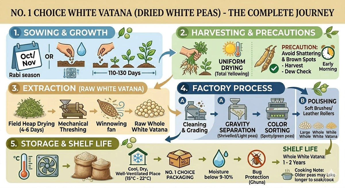 NO.1 CHOICE Vatana White (White Matar) | 100% Natural & Unpolished White Peas | High Protein & Fiber-Rich Pulses | Ragda, Curries, Usal, Snacks & Sprouting | Hygienically Packed